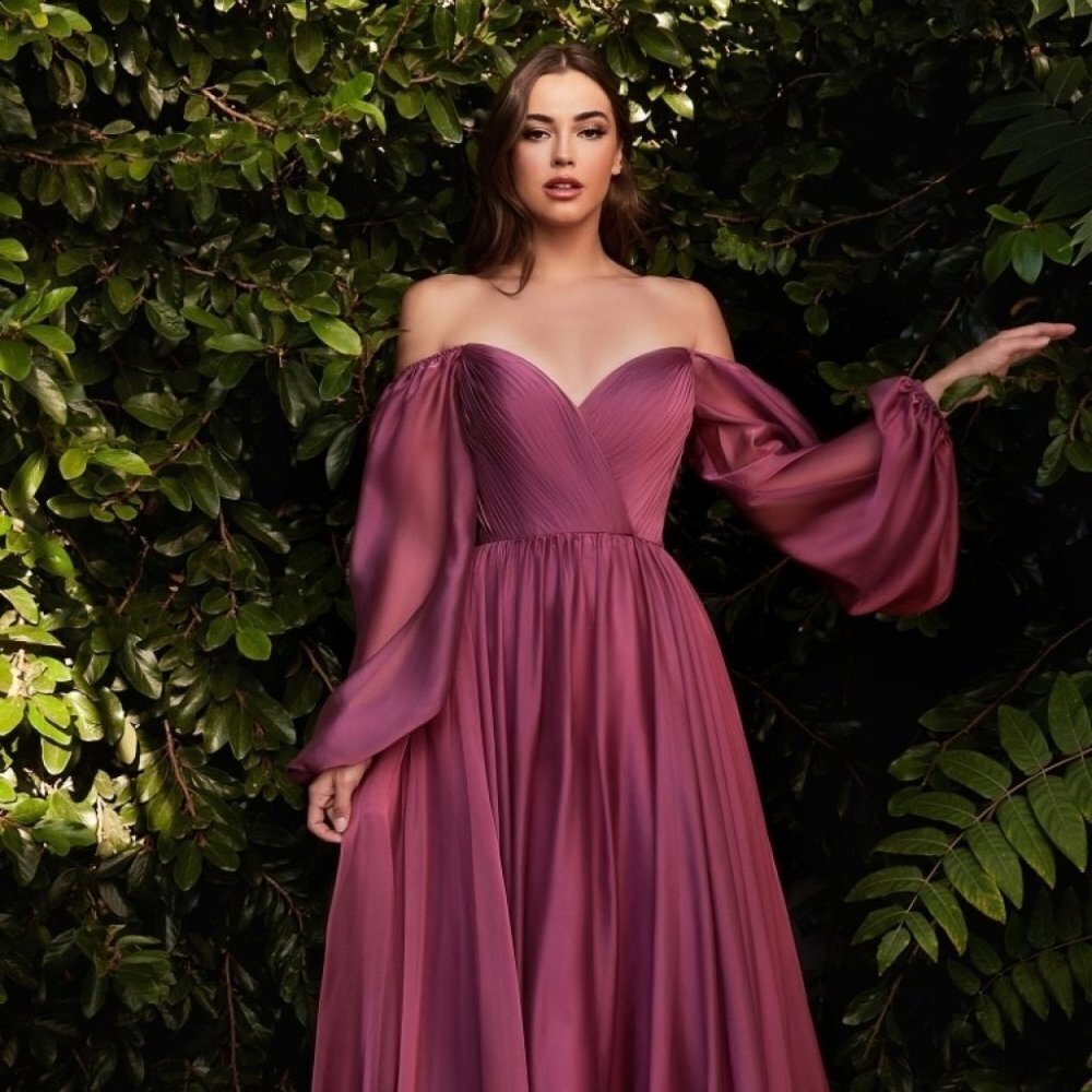 NEW LONG A-LINE CHIFFON DRESS WITH PUFF SLEEVES & PLEATED ZIPPER BODICE CD243